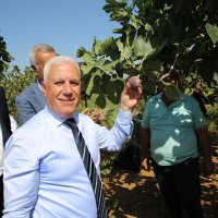 Bursa’nın lezzet şölenine davetlisiniz 