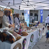 Halk Sağlığı Haftası’nda gündem, ‘Sokak Hayvanları’ 