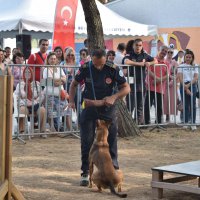 Halk Sağlığı Haftası’nda gündem, ‘Sokak Hayvanları’ 
