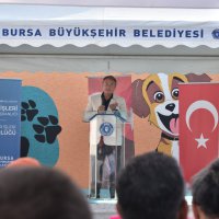 Halk Sağlığı Haftası’nda gündem, ‘Sokak Hayvanları’ 