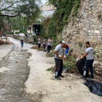 Temiz çevre için güç birliği 