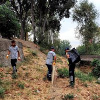 Temiz çevre için güç birliği 