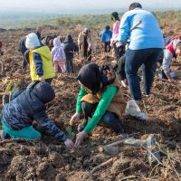 Diyabet hastalığına fidan dikerek dikkat çektiler 