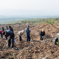 Diyabet hastalığına fidan dikerek dikkat çektiler 