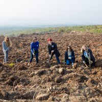 Diyabet hastalığına fidan dikerek dikkat çektiler 