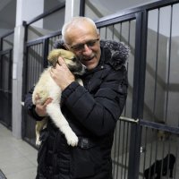 Bursa'da can dostlar yeni yuvalarına kavuşuyor 