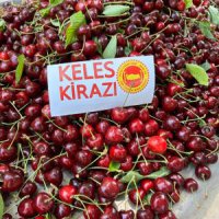 Kadın kooperatifleri güçlendiriliyor 