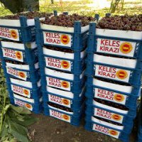 Kadın kooperatifleri güçlendiriliyor 