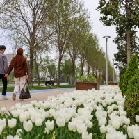 Büyükşehir, parkları lale ve çiçeklerle renklendirdi 