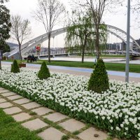 Büyükşehir, parkları lale ve çiçeklerle renklendirdi 