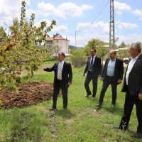 Büyükşehir’den zirai don mağduru çiftçiye destek 