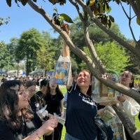 Bursa’da ağaçlar ‘kitap’ açtı 