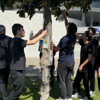 Bursa’da ağaçlar ‘kitap’ açtı 