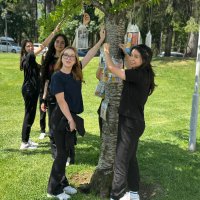 Bursa’da ağaçlar ‘kitap’ açtı 