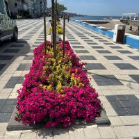 Bursa çiçek bahçesine dönüşüyor 