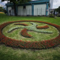 Bursa çiçek bahçesine dönüşüyor 