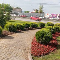 Bursa çiçek bahçesine dönüşüyor 