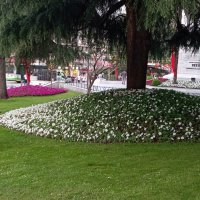 Bursa çiçek bahçesine dönüşüyor 