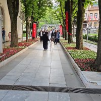 Bursa çiçek bahçesine dönüşüyor 