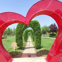 Bursa çiçek bahçesine dönüşüyor 