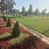 Bursa çiçek bahçesine dönüşüyor 