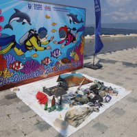 Gemlik Körfezi’nde dalgıçlardan dip temizliği 