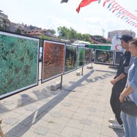 Gemlik Körfezi’nde dalgıçlardan dip temizliği 