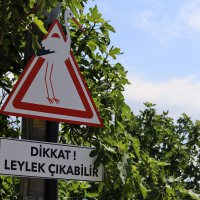 ‘Bursa Leylek Şenliği’ büyük bir coşkuyla başladı 