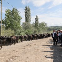 Leylek Şenliği’nde Bursalılar, doğayla buluştu 