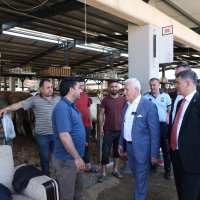 Başkan Bozbey’den Kurban Pazarı’na ziyaret 