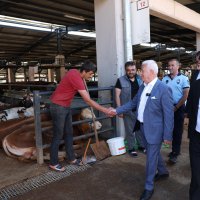 Başkan Bozbey’den Kurban Pazarı’na ziyaret 