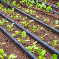 Büyükşehir’den kırsal kalkınmaya önemli destek 