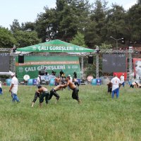 Bursa’da, 63. Tarihi Çalı Yağlı Güreşleri heyecanı 