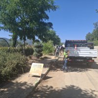 Bursa'da orman yangınlarına karşı 'temizlik' seferberliği! 