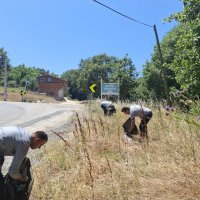 Bursa'da orman yangınlarına karşı 'temizlik' seferberliği! 