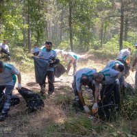 Bursa'da orman yangınlarına karşı 'temizlik' seferberliği! 