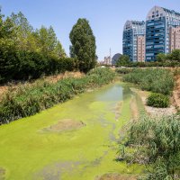 Büyükşehir’den Ayvalı Dere’de temizlik ve ıslah çalışması 