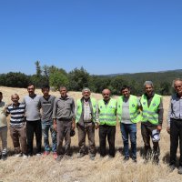 Siyez buğdayında hasat bereketi 