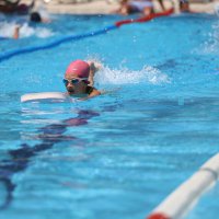 Minik kulaçlar ikinci dönemi tamamladı 