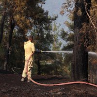 Başkan Bozbey’den Gürsu TOKİ bölgesinde inceleme 