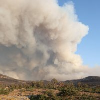 Başkan Bozbey, “Yangının 6 farklı bölgede bir anda başlamış olması düşündürücü” 