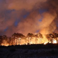 Başkan Bozbey, “Yangının 6 farklı bölgede bir anda başlamış olması düşündürücü” 