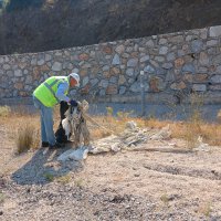 Büyükşehir’den yangın bölgelerinde çevre temizliği 