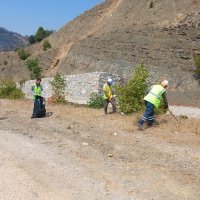 Büyükşehir’den yangın bölgelerinde çevre temizliği 