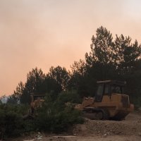 Başkan Bozbey: Yangının yönü belli değil, daha fazla hava desteği gerekli 