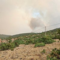 Başkan Bozbey: Yangının yönü belli değil, daha fazla hava desteği gerekli 