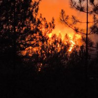 Başkan Bozbey: Yangının yönü belli değil, daha fazla hava desteği gerekli 