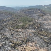Başkan Bozbey: 10 bin futbol sahası kadar alanı kaybetmenin üzüntüsünü yaşıyoruz 