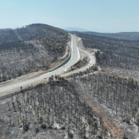 Başkan Bozbey: 10 bin futbol sahası kadar alanı kaybetmenin üzüntüsünü yaşıyoruz 