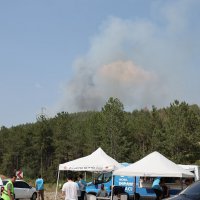 Başkan Bozbey: 10 bin futbol sahası kadar alanı kaybetmenin üzüntüsünü yaşıyoruz 